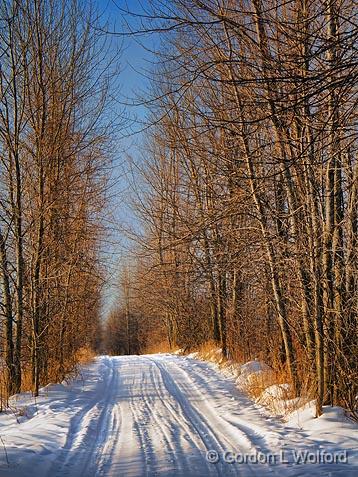 Snowy Backroad_05402.jpg - Photographed at sunset near Lombardy, Ontario, Canada.